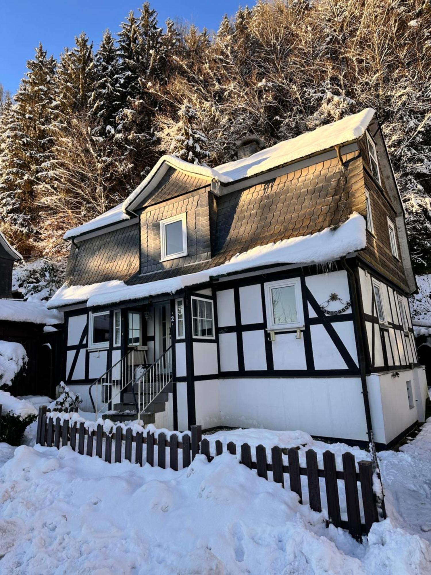 Ferienhaus Waldtraum Winterberg Exterior photo